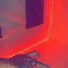 danicastillo670